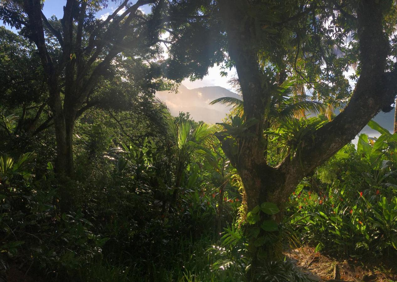 אילהה גראנדה Jungle Lodge מראה חיצוני תמונה