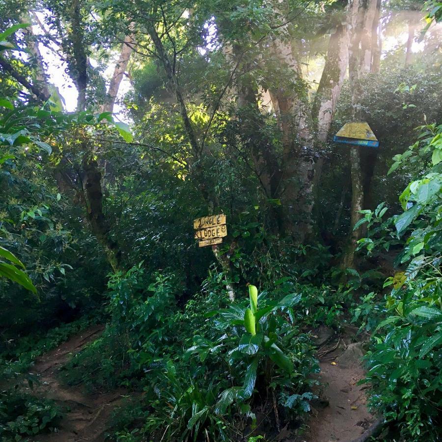 אילהה גראנדה Jungle Lodge מראה חיצוני תמונה